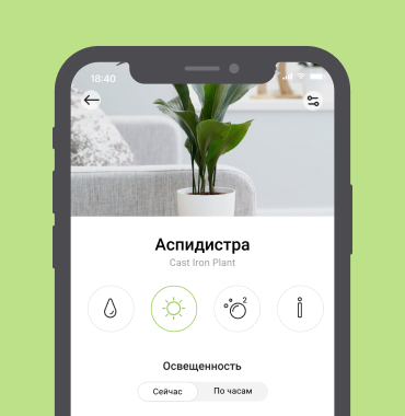 Умное кашпо